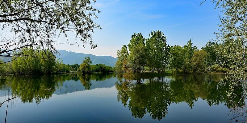 Badeteich in der Natur Schönes Wetter und blauer Himmel, Badeteich in der Natur umgeben von Bäumen und Büschen, Wasserspiegelung