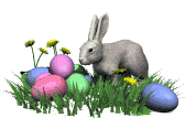 bunny_easter_eggs_lw