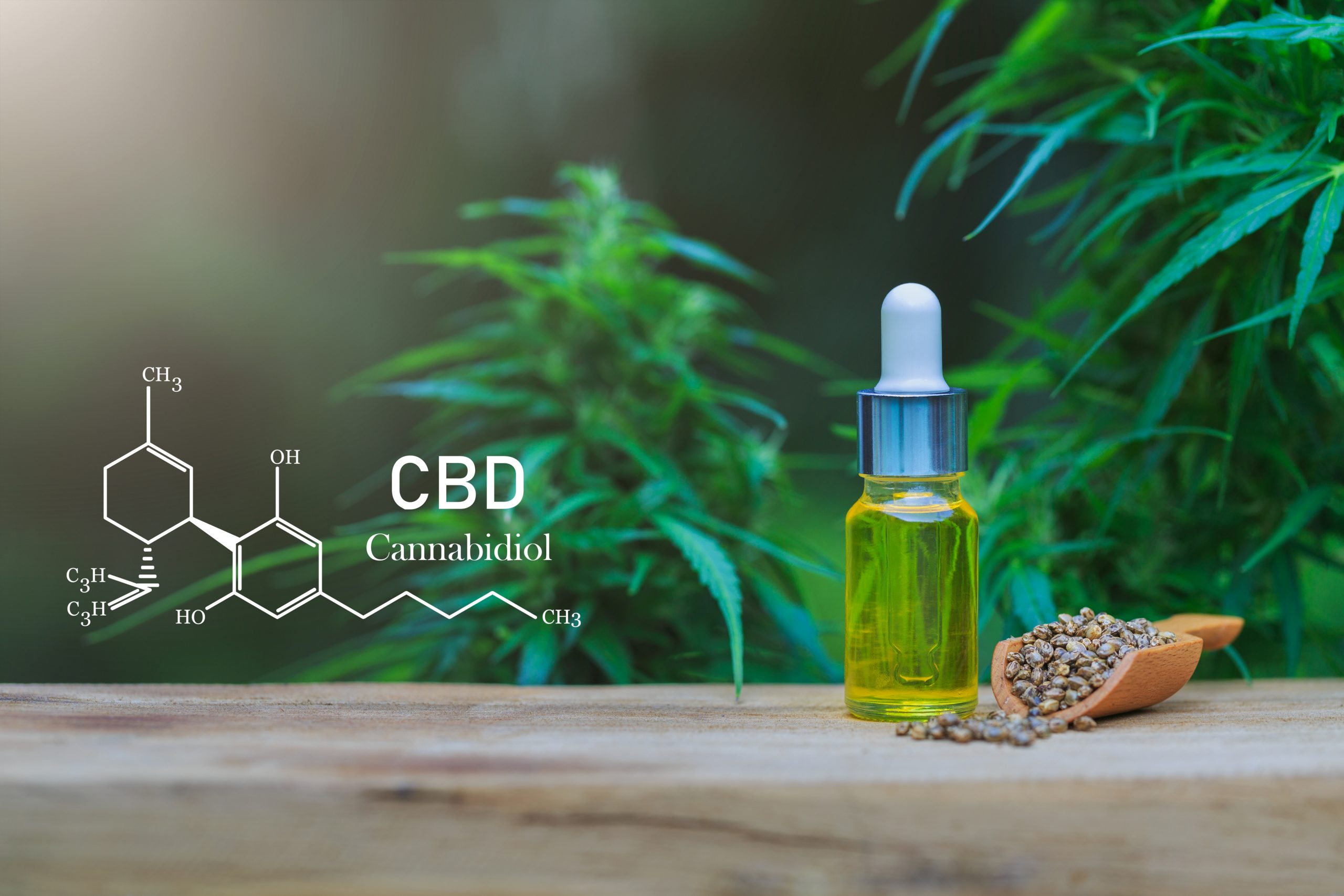 CBD elements in Cannabis, Hemp oil. Healthy hemp oil.