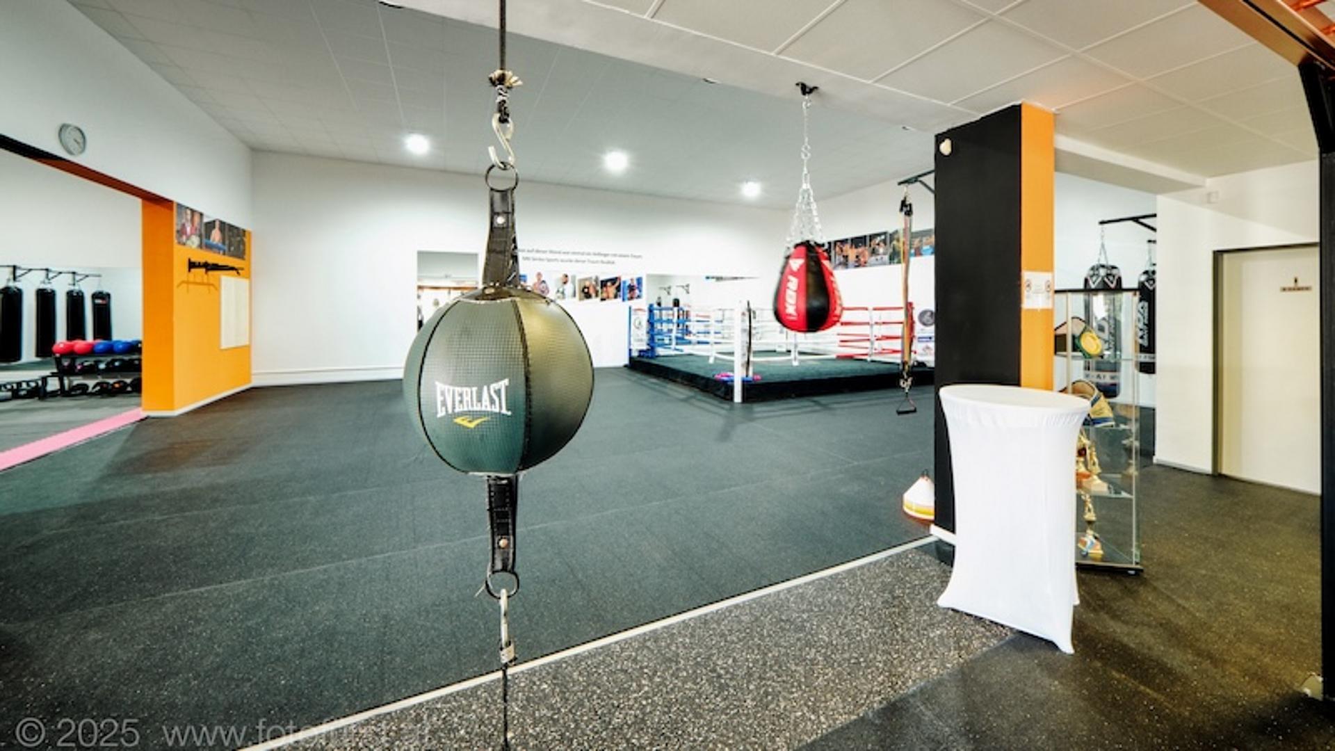 boxring im hintergrund und box-doppelendball