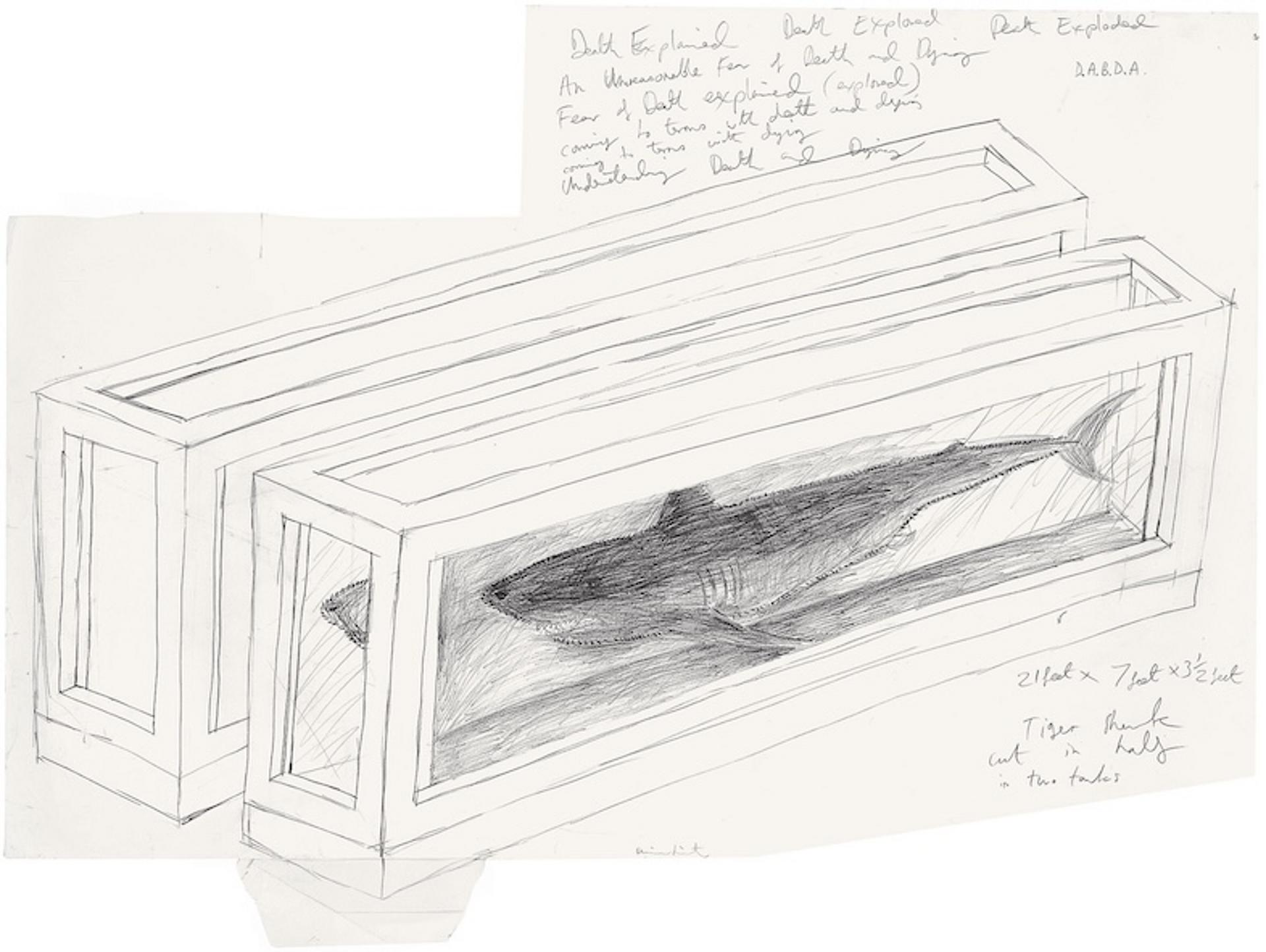 Damien Hirsts Werk Tiger Shark in Tank
