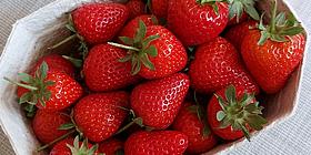 Das Bild zeigt einen Korb mit Erdbeeren.