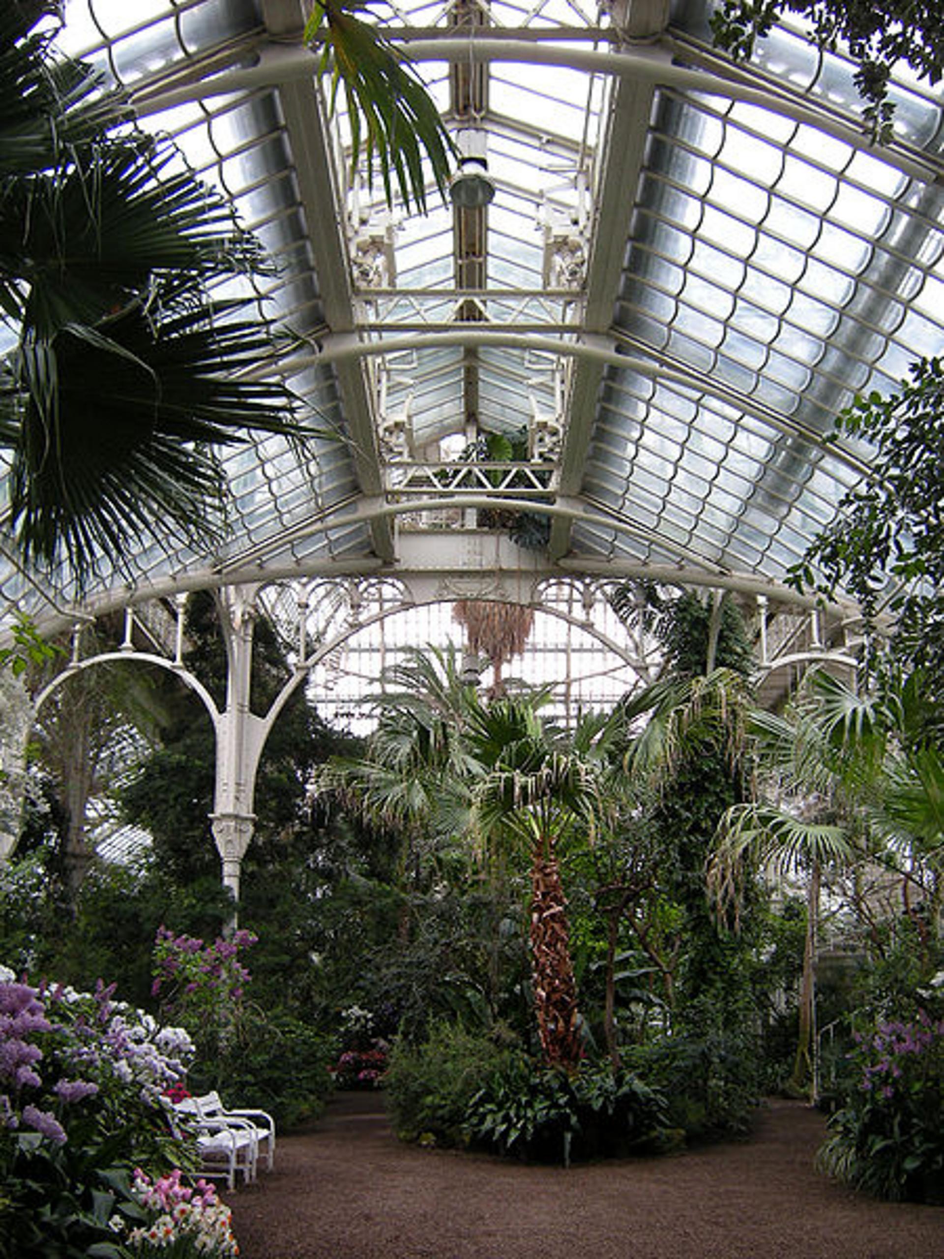 Palmenhaus Schönbrunn Wien von Innen