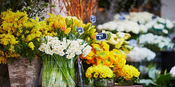 Blumengeschäfte Bunte Schnittblumen in einem Blumengeschäft