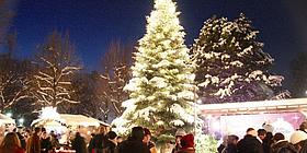 Weihnachtsbaum im Weihnachtsdorf Altes AKH