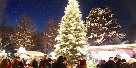 Weihnachtsbaum im Weihnachtsdorf Altes AKH