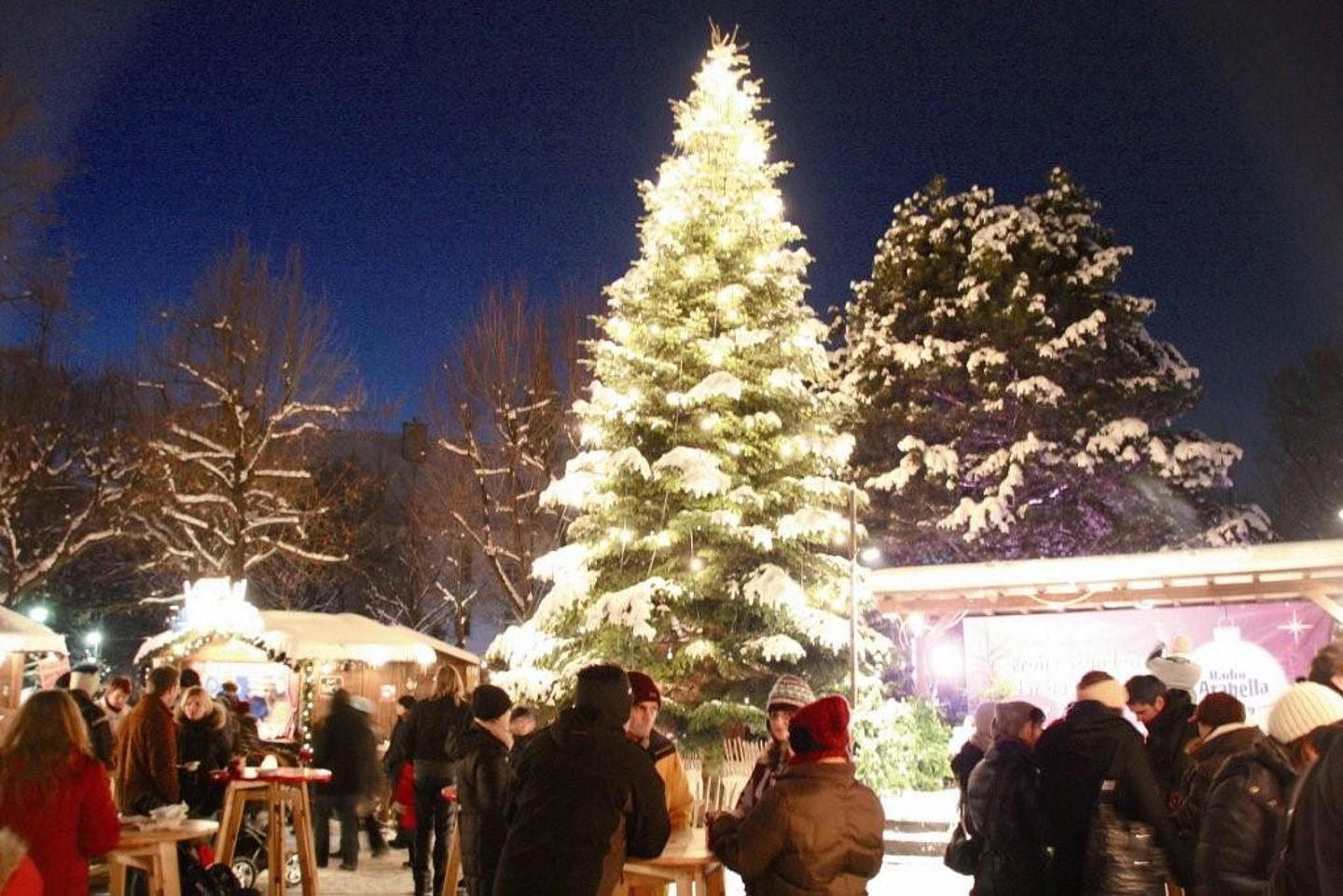 Weihnachtsbaum im Weihnachtsdorf Altes AKH