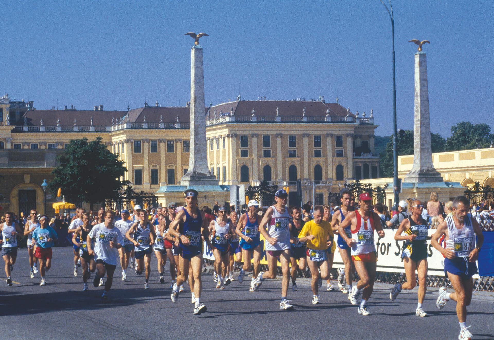 Läuferinnen und Läufer passieren das Wiener Rathaus