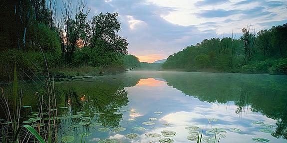 Idylischer Sonnenuntergang bei der Donau