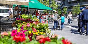 Mazzucco Markt in der Seestadt Wien. 