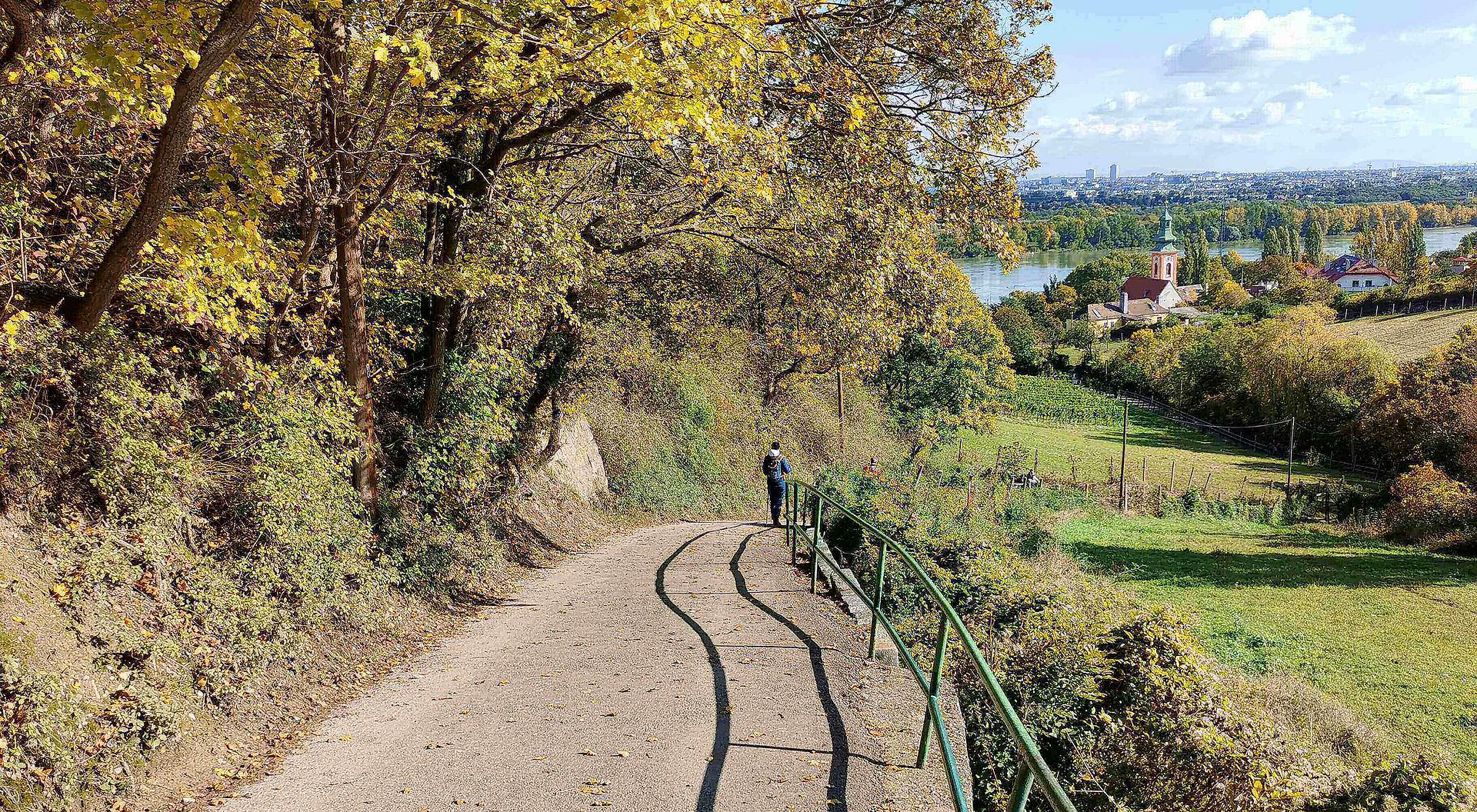 Eine enge Straße führt bergab an einem grünen Geländer vorbei während herbstliche Bäume über die Straße ragen. Ein Wanderer ist von hinten zu sehen.