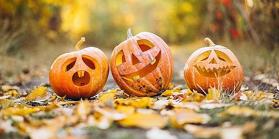 Kürbisfest am Schlingermarkt Drei geschnitzte Kürbisse mit Gesichtern am Waldboden