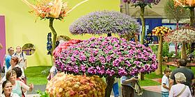 Blumenarragements in Form von Bäumen in rosa, orange und lila