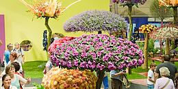 Blumenarragements in Form von Bäumen in rosa, orange und lila