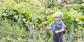 Kleiner Junge steht in einem wild bewachsenen Garten
