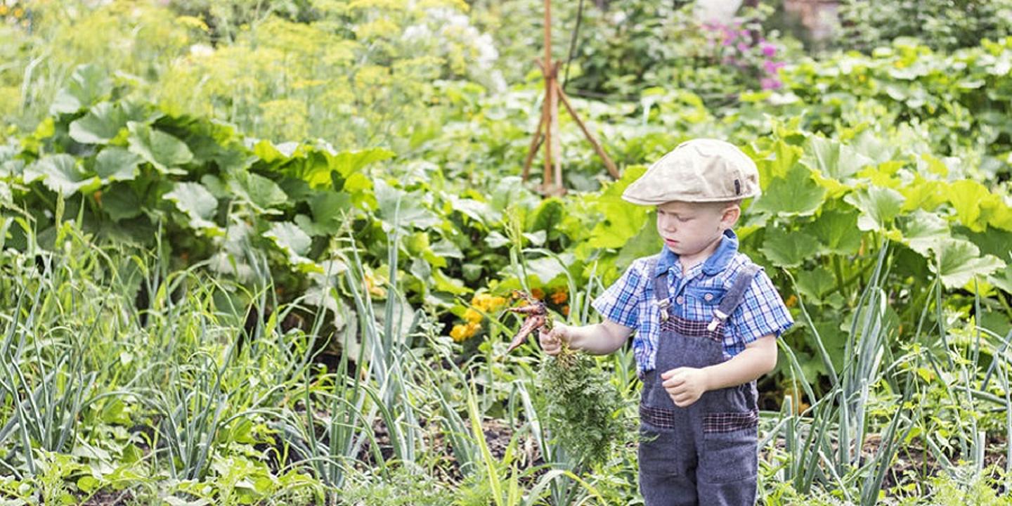 Kleiner Junge steht in einem wild bewachsenen Garten