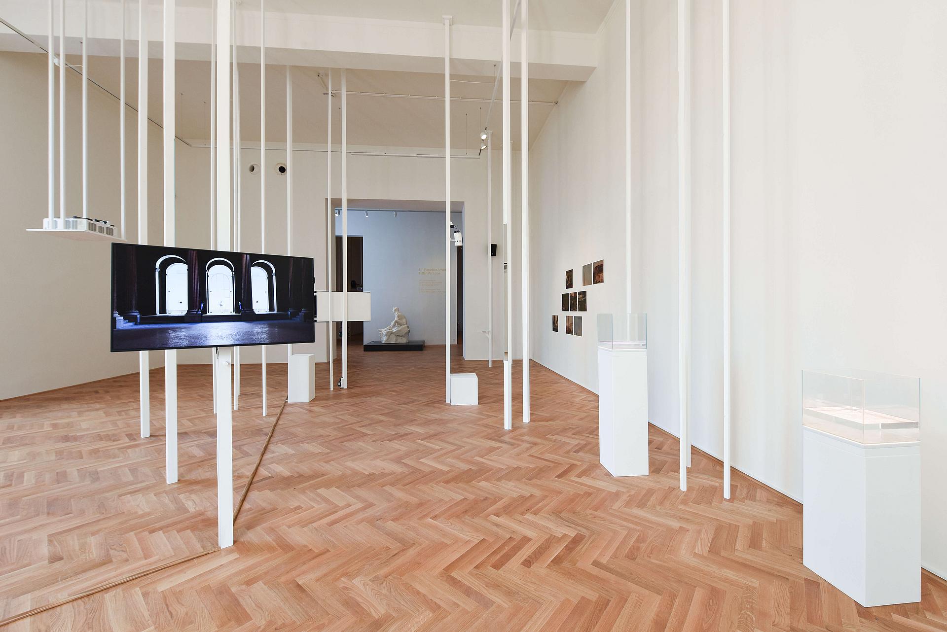Ausstellungsansicht Thicket of Ideas – Thicket of Times