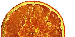 Orangenscheibe 