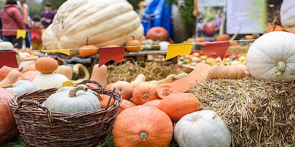 Herbstfest Kürbisse liegen auf einem Strohballen während eines Herbstfests
