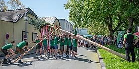 In Ober Sankt Veit wird der Maibaum traditionell ohne Kran, dafür mit viel Muskelkraft aufgestellt.