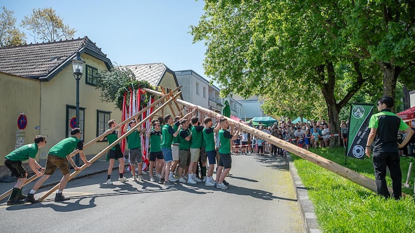 In Ober Sankt Veit wird der Maibaum traditionell ohne Kran, dafür mit viel Muskelkraft aufgestellt.