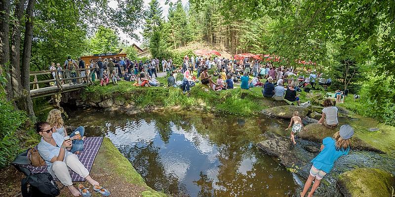 Schrammelklangfestival Grünes Waldstück mit einem kleinen See, bei dem einige Menschen sitzen.