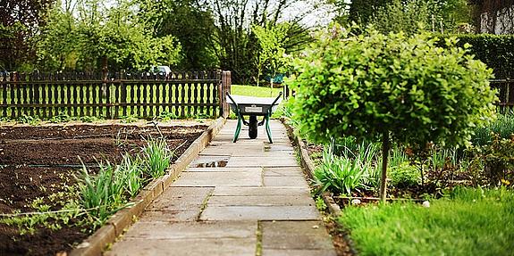 Schrebergarten Scheibtruhe steht auf einem Weg mitten in einem Garten