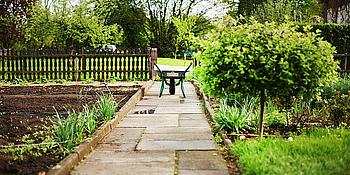 Schrebergarten Scheibtruhe steht auf einem Weg mitten in einem Garten