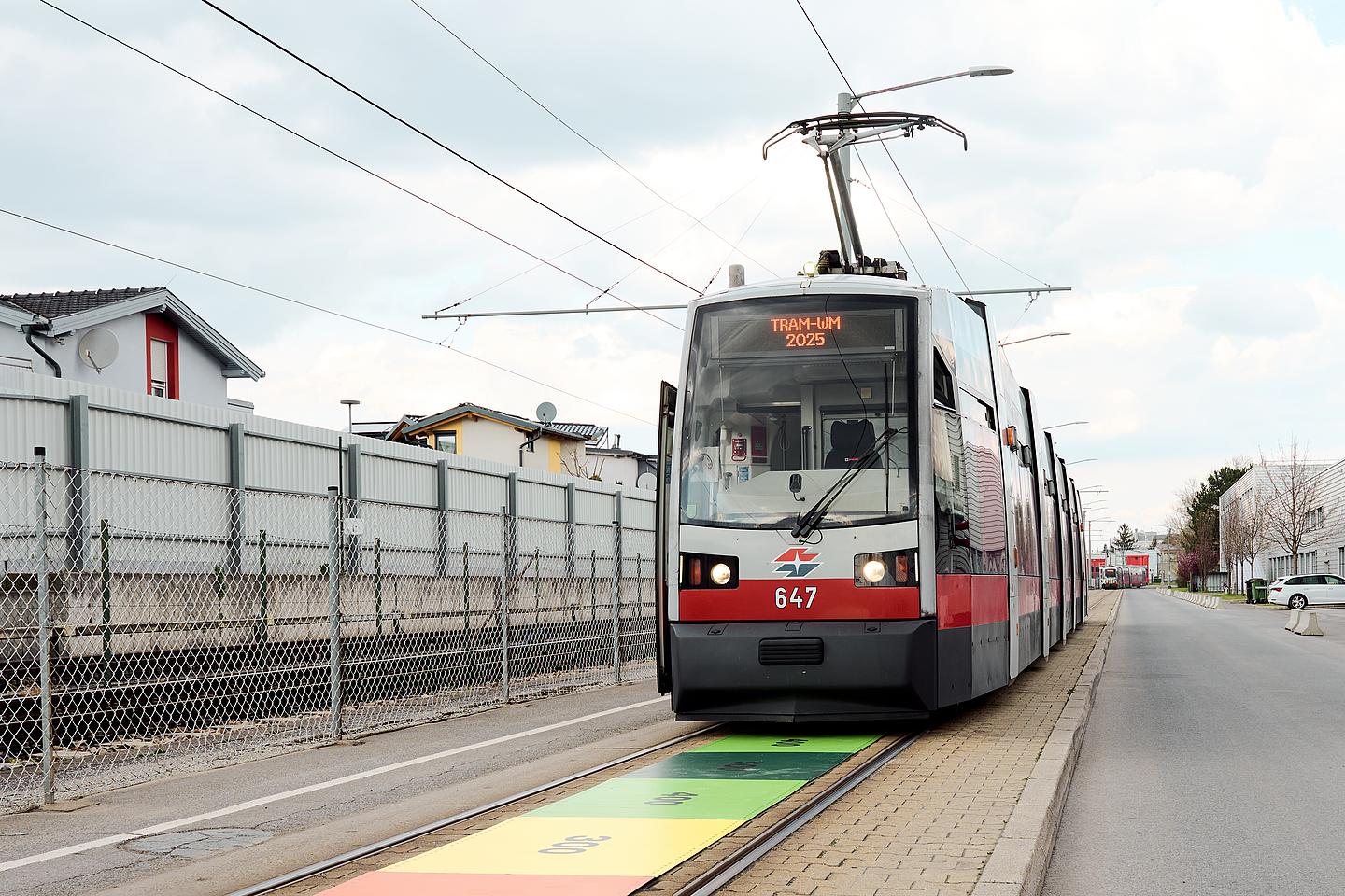 Die erste Wiener TRAM WM 2025