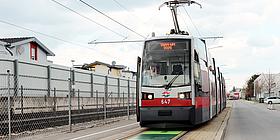 Die erste Wiener TRAM WM 2025