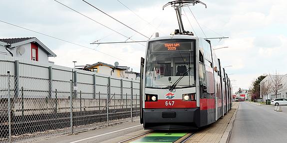 Die erste Wiener TRAM WM 2025