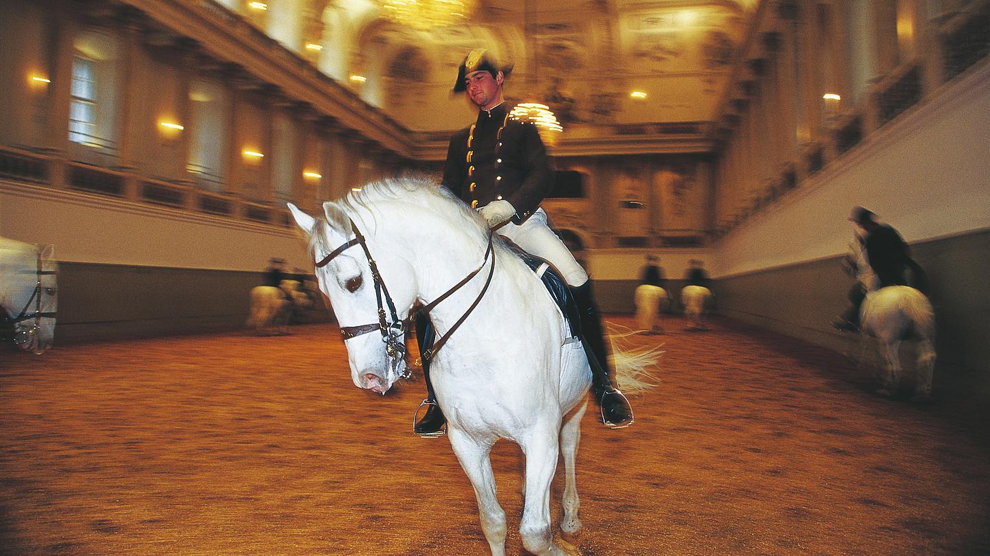 Bereiter mit Lipizzaner in der Winterreitschule der Hofreitschule in Wien.