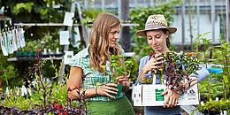 zwei Frauen stehen in Mitten von Jungpflanzen