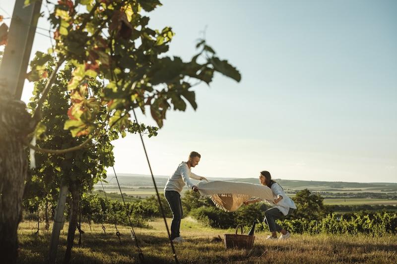 Picknick im Weinviertel mit Ausblick