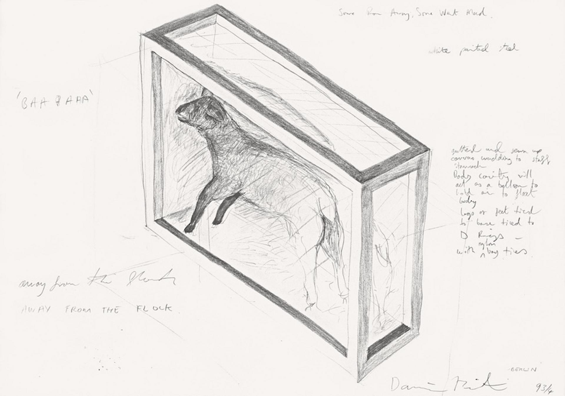 Damien Hirsts Zeichnung Away from the Flock