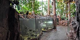 Tropenhaus im Haus des Meeres