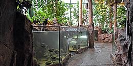 Tropenhaus im Haus des Meeres