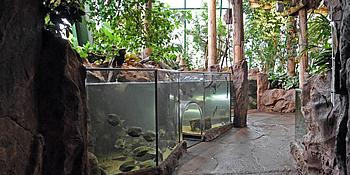 Tropenhaus im Haus des Meeres