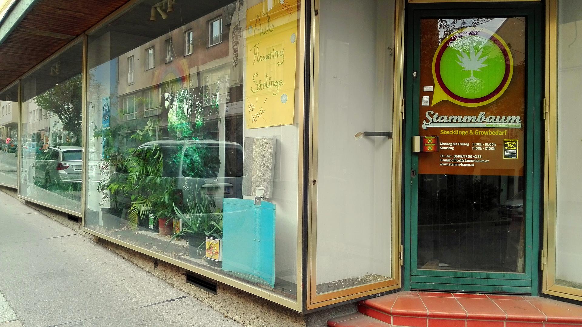 Eingang und Auslage zum Stammbaum Growshop in der Meinhartsdorfer Gasse, Ecke Reindorfgasse