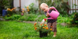 Kleines Kind steht im Gemüsegarten und gießt die Pflanze