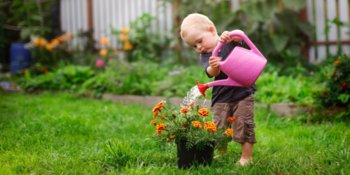 Kleines Kind steht im Gemüsegarten und gießt die Pflanze