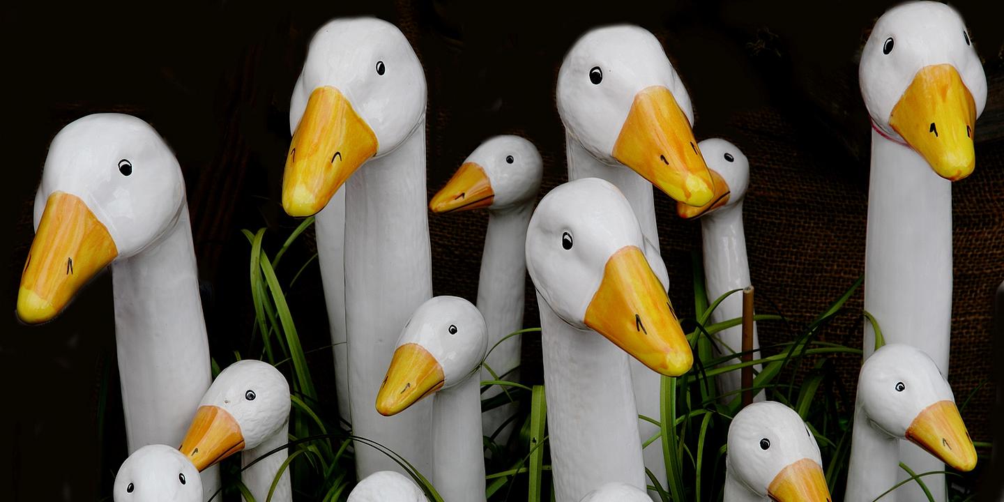 Gänse