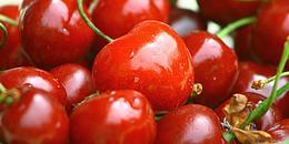 Rote Kirschen 