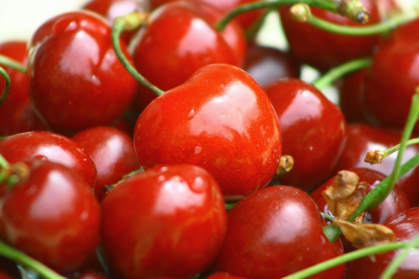 Rote Kirschen 