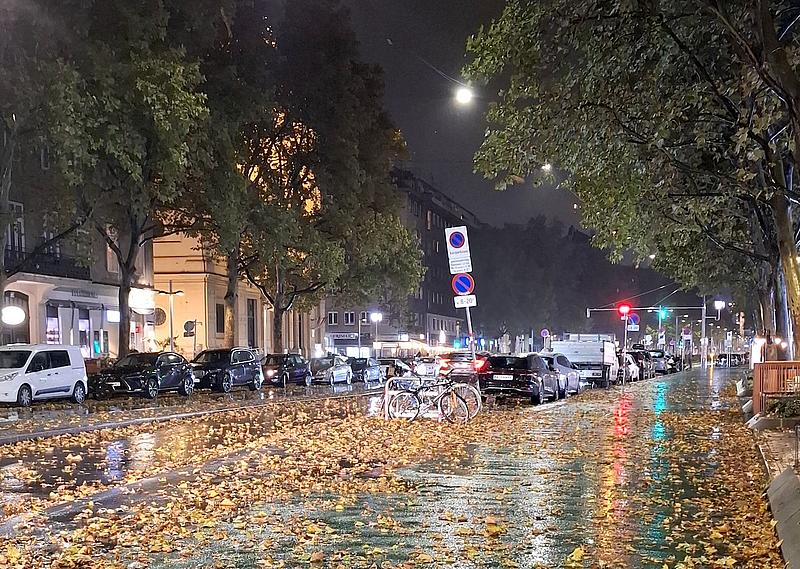  Praterstraße Radweg Wien am Abend mit vielen Blättern am asphalt 