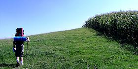 Ein Wanderer mit Rucksack auf einer Wiese