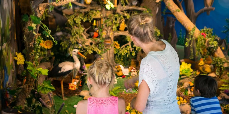 Der Märchenwald ist der Ursprung des Familyparks