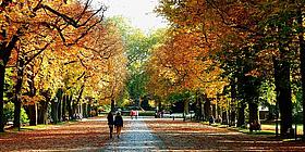 Herbstspaziergänge in Wien sind für jeden etwas! herbstlicher Spaziergang