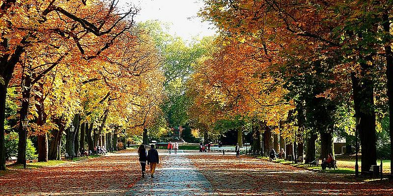 Herbstspaziergänge in Wien sind für jeden etwas! herbstlicher Spaziergang