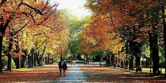herbstlicher Spaziergang